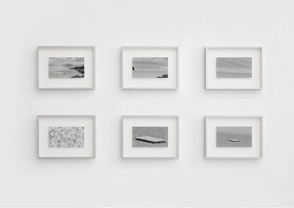 Zhou Hang – Day by Day (2014–Present–Future）