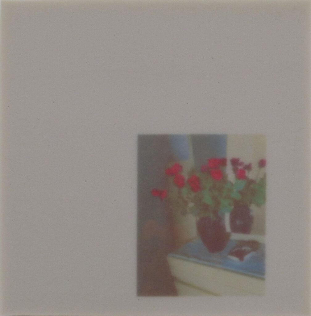 Lisa Freundl – legacy (untitled)