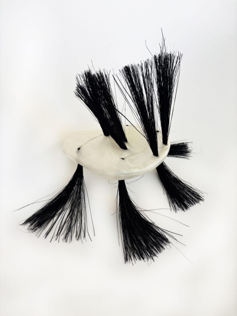 Leonie Brehorst – filamentous