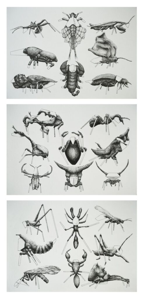 Tobias Schebelle – cybugs II, III, VI